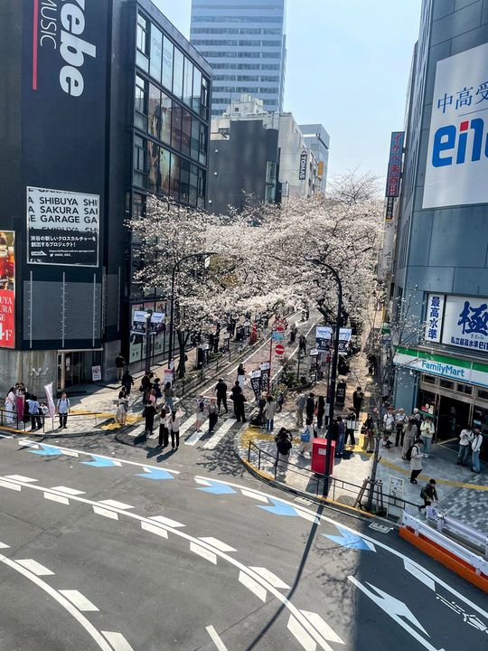 「さくら坂」の入り口