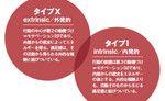 ビジネスパーソンには2つのタイプがいる?