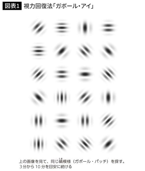 視力回復法「ガボール・アイ」