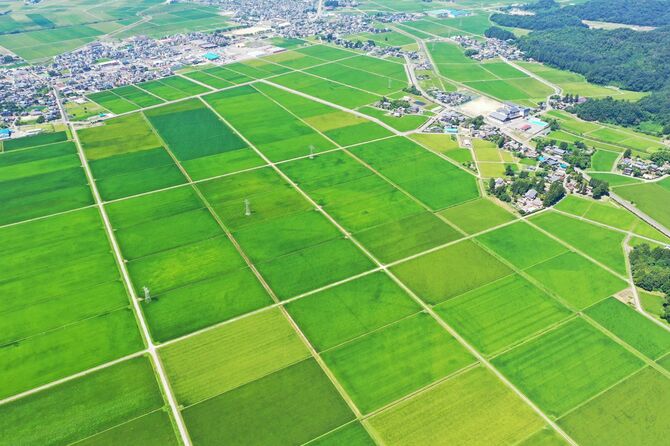 新潟の田園地帯の航空写真
