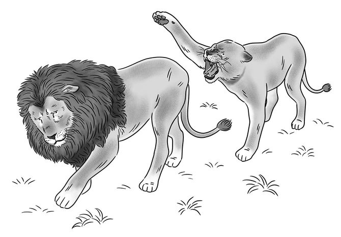 出典=『クジラの歌を聴け』、イラスト=芦野公平