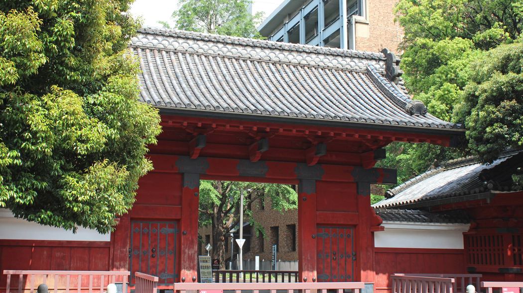 おかげで学年300人中299位だった僕が東大現役合格できた…受験当日の昼メシにした"お守り代わり"の意外な飲料