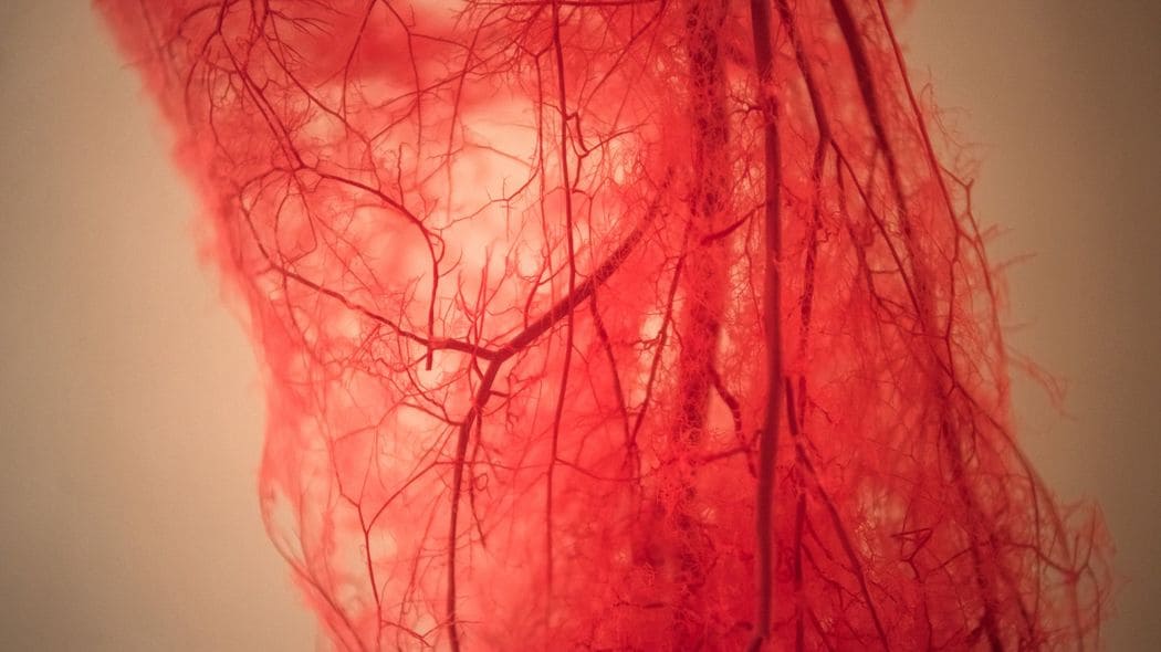 ｢血管病｣になりやすい中高年が住む家､働く職場の特徴とは…40代以降に起こる男性特有の厄介な病 睡眠十分でも｢朝からダル重｣の人は要注意