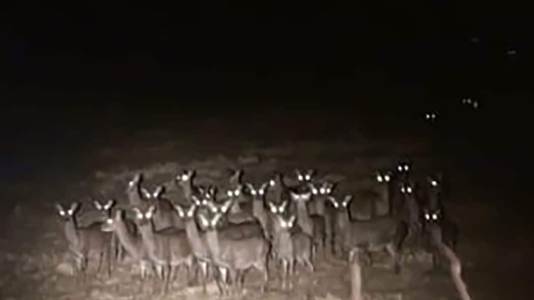 シカ食害のハゲ山は放置して､リニア工事だけは｢環境破壊｣と難癖…川勝知事の｢自然保護｣はメチャクチャだ 都合の悪い真実から目を背ける専門部会は解体すべき