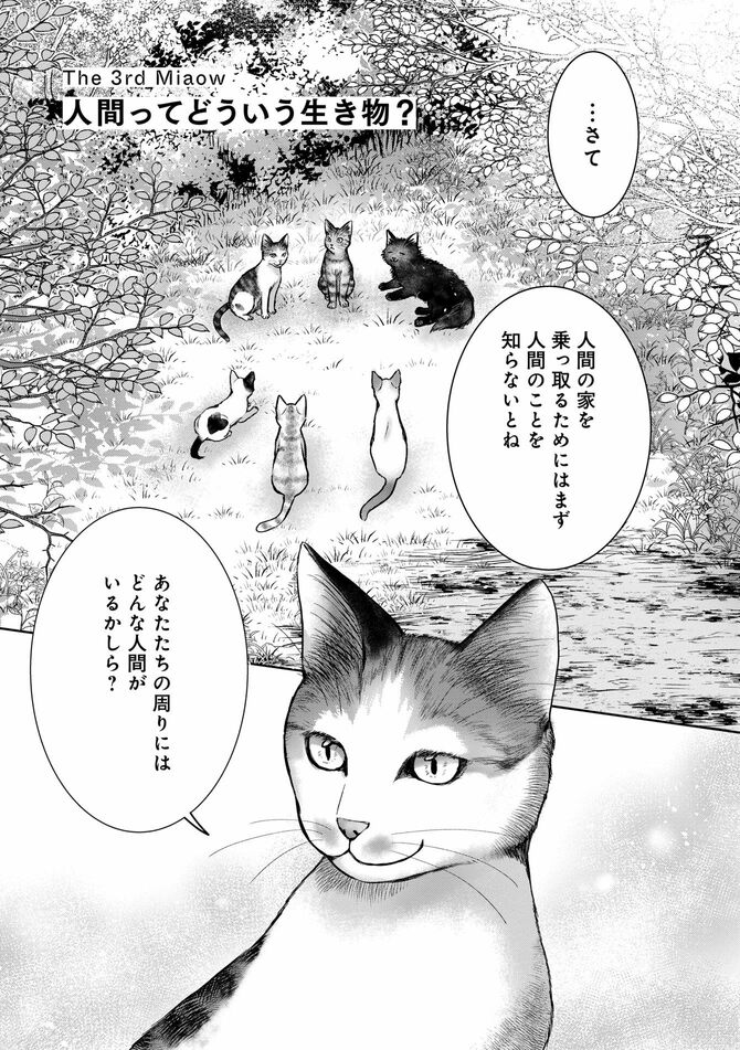 コミック『猫語の教科書』©沙嶋カタナ、ポール・ギャリコ／KADOKAWA