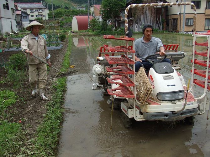 トラクターに乗って農作業をする関智晴さん