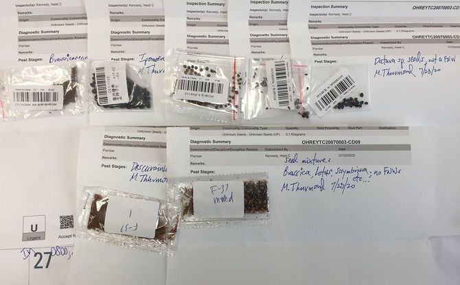 米農務省が公開した、中国から届いたとみられる種子