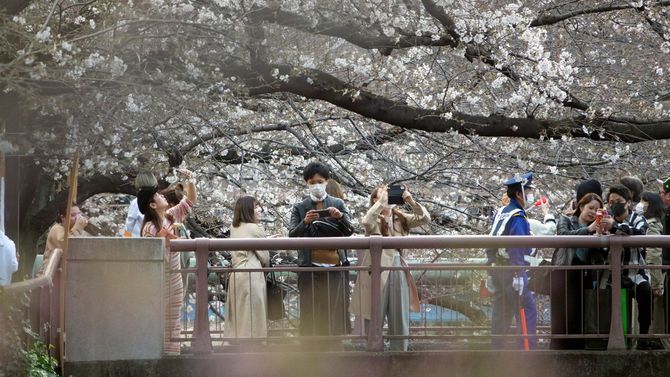 2020年3月22日の中目黒