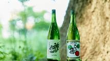 神亀酒造でセンムが挑んだ｢信念の仕事｣とは①