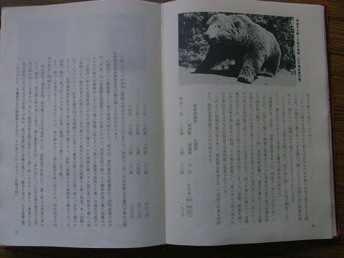 右上は「札幌丘珠事件」で4人を喰い殺したクマの剥製