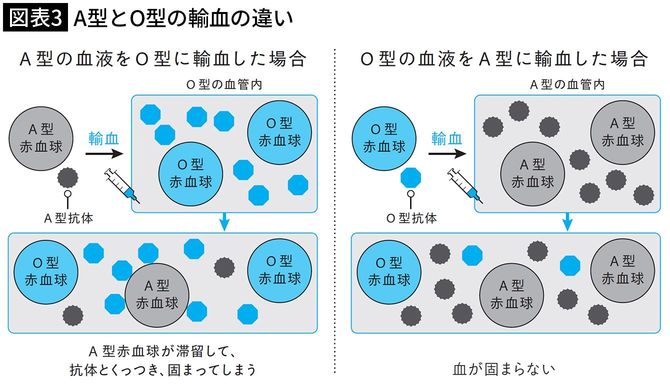 【図表3】A型とO型の輸血の違い