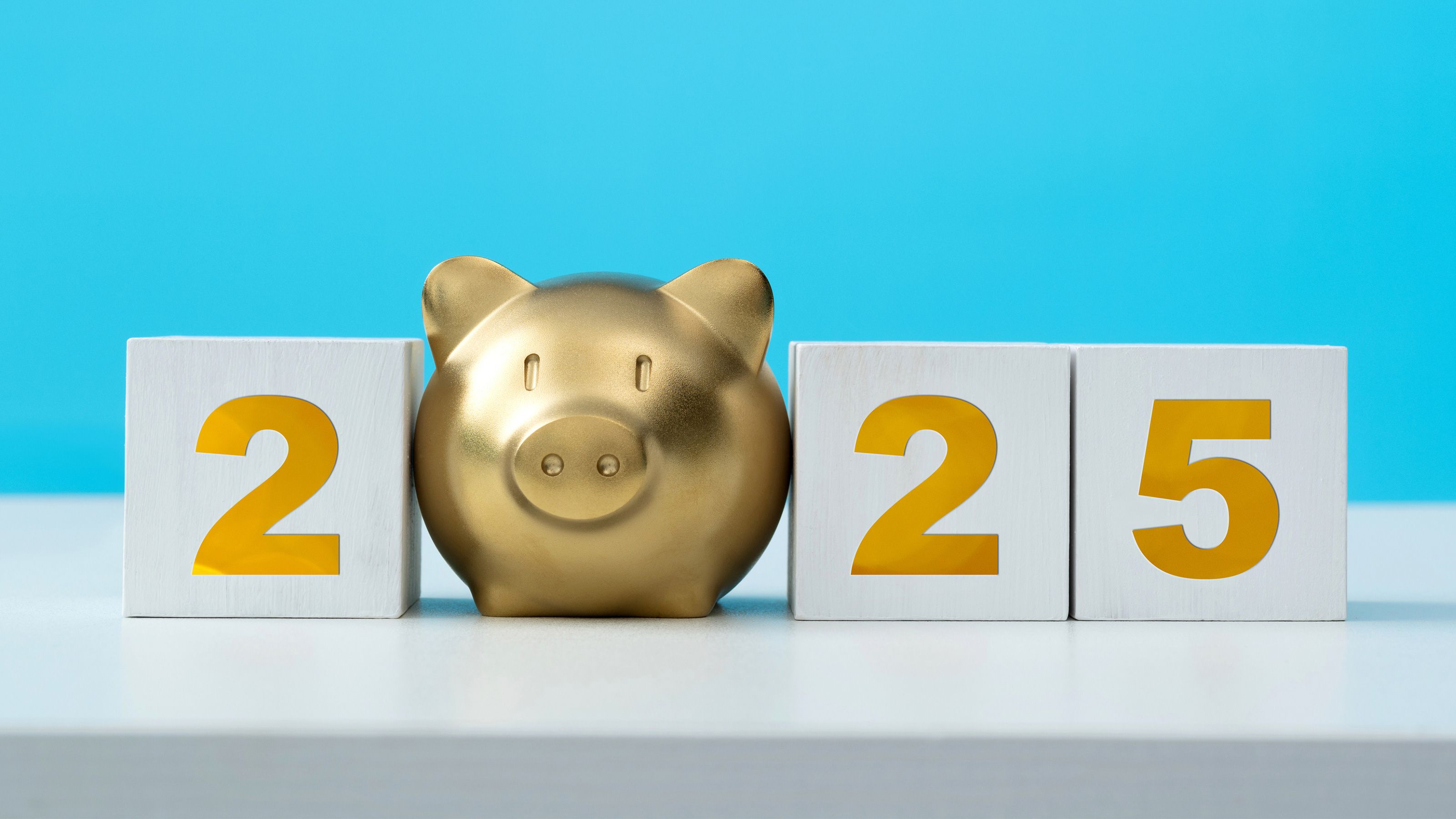 年末に買って年始に売るだけ…30代前半で億り人になった個人投資家が今でも毎年実践する効果的な投資法 | PRESIDENT WOMAN  Online（プレジデント ウーマン オンライン） | “女性リーダーをつくる”