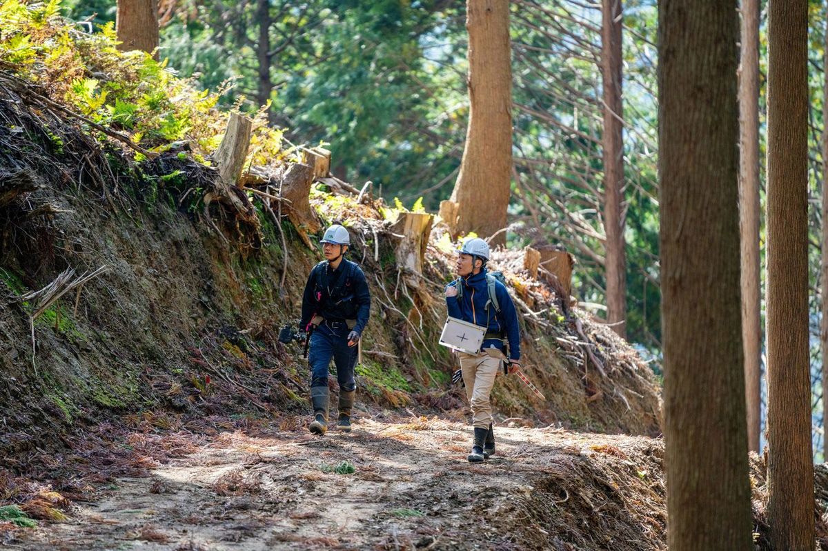 林の中を目視しながら歩く、測量機器などを携えた二人の職員