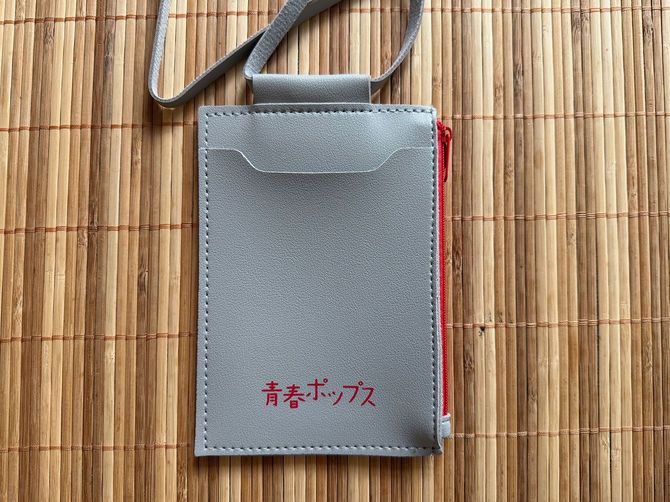 青春ポップスという習い事は2月から始めた。入会特典でもらったカードホルダー