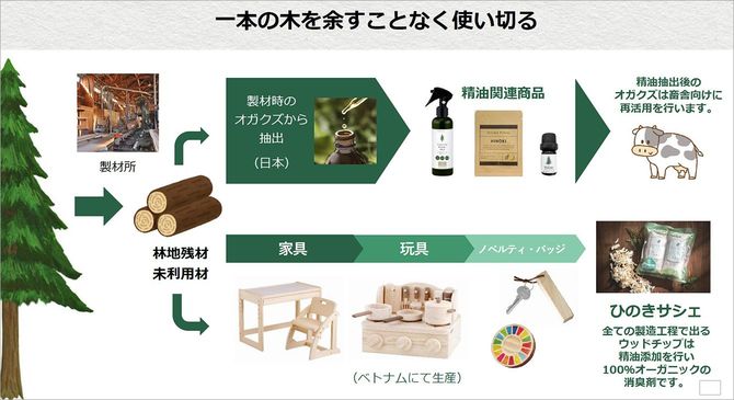 丸紅木材資料から