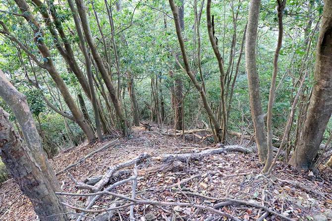 北側に続く尾根道。補足かつ急峻