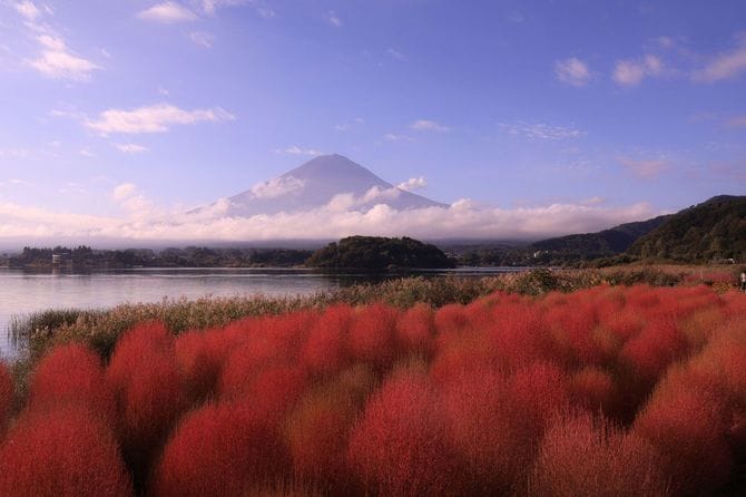 2026佳作（1）「富士山とコキア」石神央稀さん