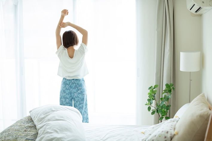 ※写真はイメージです