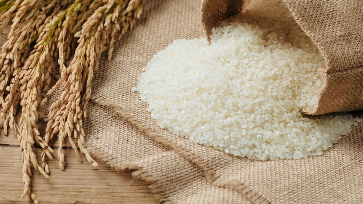 これから「小泉備蓄米」がじわじわ問題化してくる...現役農家が今もっとも恐れていること
