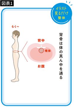 【図表1】背骨は体の真ん中を通る