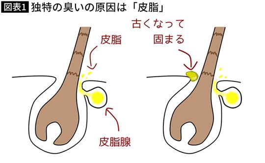 【図表】独特の臭いの原因は「皮脂」