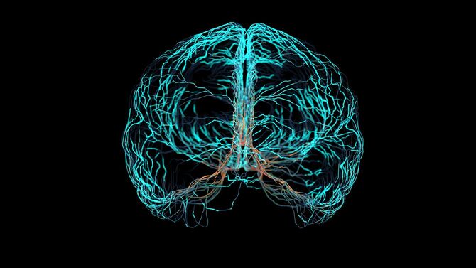 脳神経系の信号のシミュレーション画像
