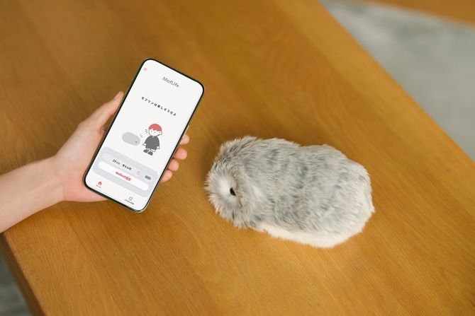画像のように専用のアプリでモフリンの感情を知ることもできる。