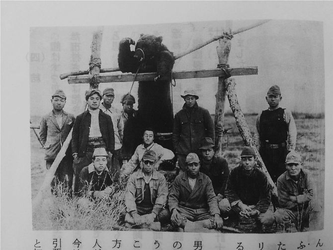 捕獲したヒグマの記念写真
