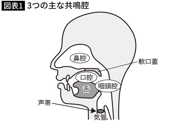 3つの主な共鳴腔