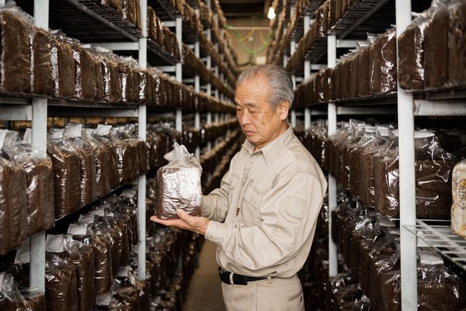カナダの自社工場で舞茸を生産する大平さん