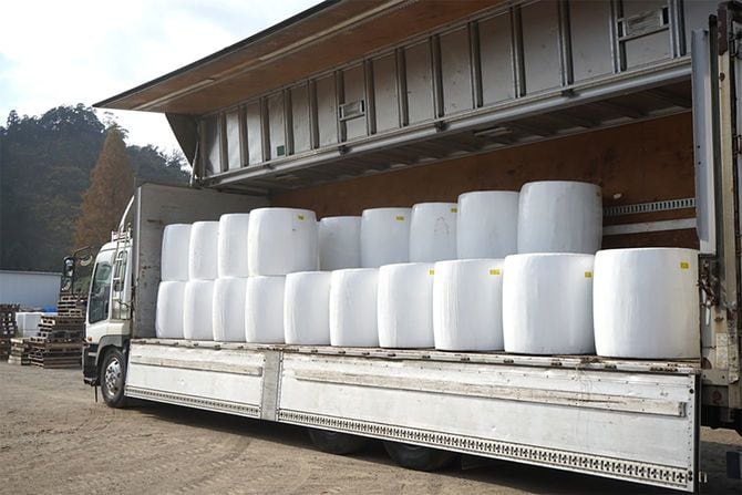 出荷を待つ笹サイレージ