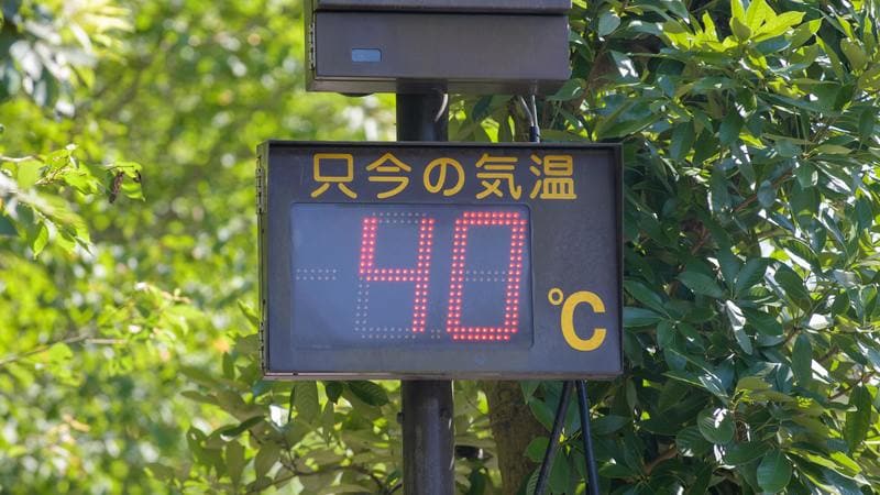 なぜ7月なのにヒドイ暑さが続くのか…｢世界の中でもダントツに異常｣という日本付近の海で起きていること もはや｢熱帯夜｣という言葉は死語になった