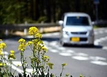 「カーシェアリング」を使って低コストでカーライフを満喫