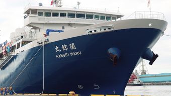 中トロと牛肉を足して2で割った最高の美味…元コンサル社長がクジラ漁に78億円の投資を決断した理由