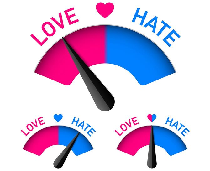 愛と憎しみのメーター