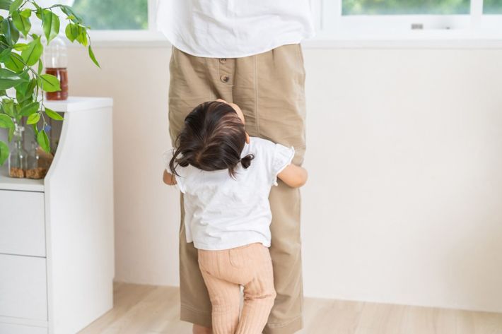 ※写真はイメージです