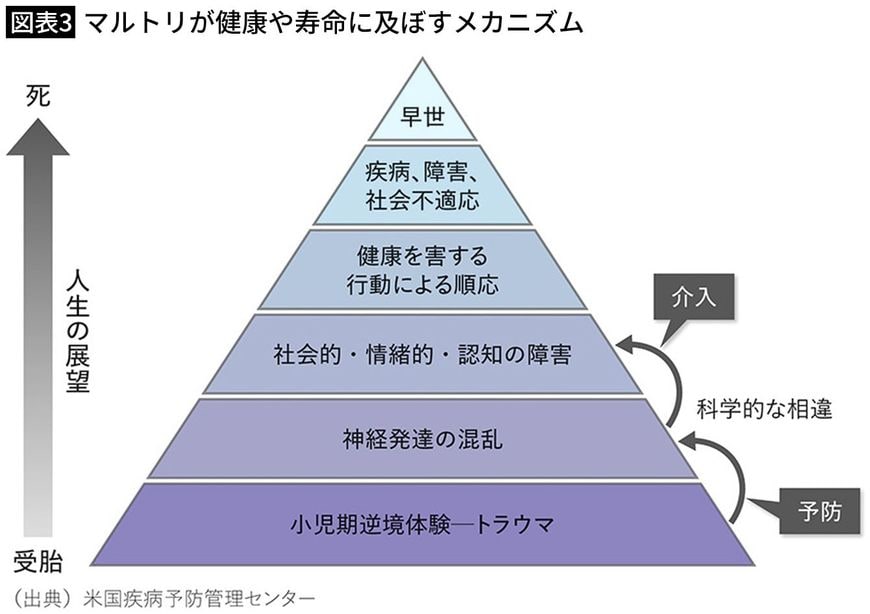 【図表3】マルトリが健康や寿命に及ぼすメカニズム