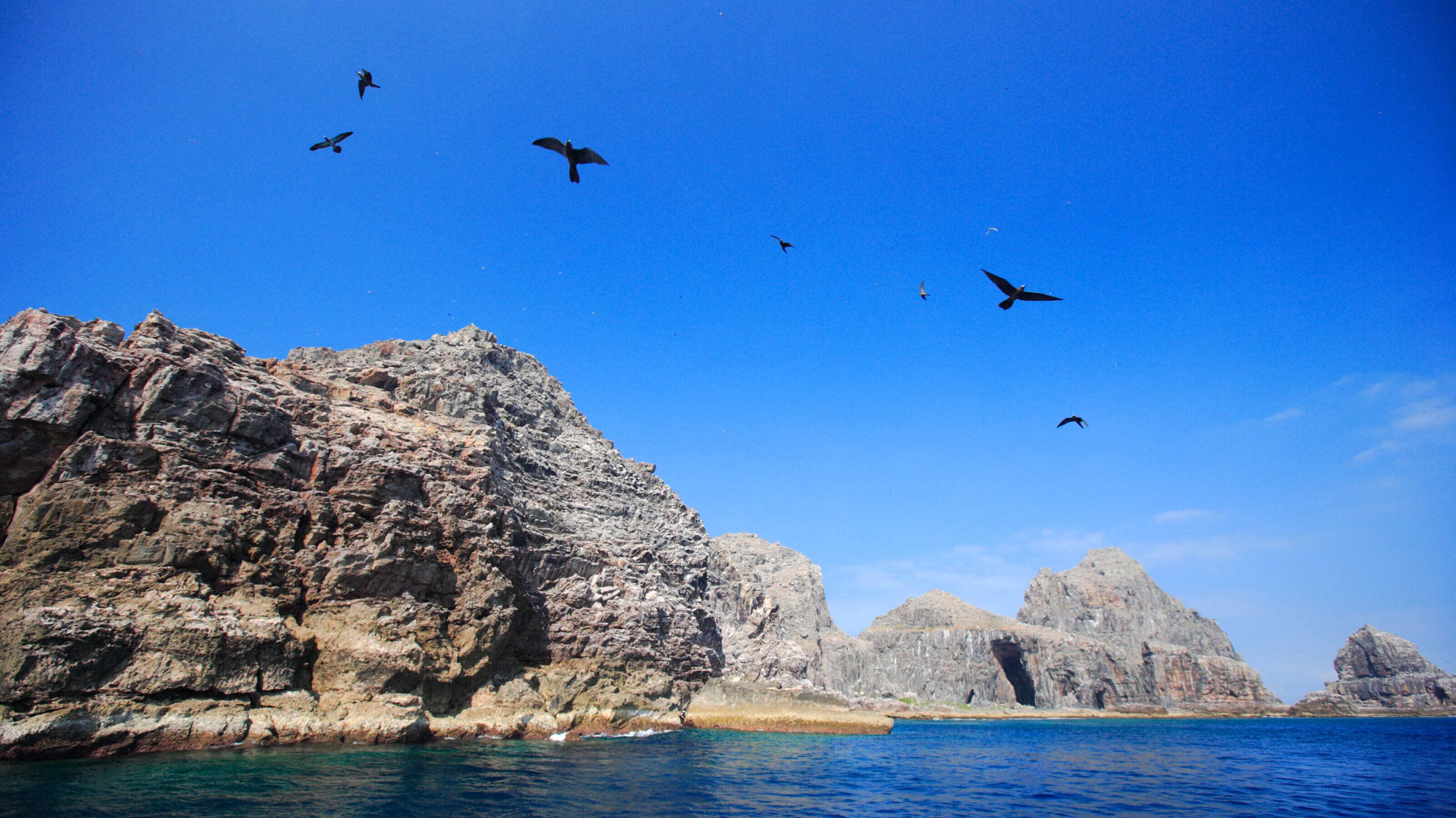 米軍は介入できない 中国は漁船に乗った 海上民兵 で尖閣諸島を奪うつもりだ その狙いは グレーゾーン事態 President Online プレジデントオンライン