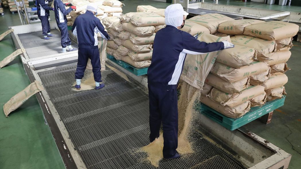 備蓄米が消えていく…｢コメの値段は下がらない｣備蓄米の9割を"国内屈指の利益団体"に流す農水省の愚策 国民はJA農協が｢儲かる値段｣で買わされ続ける