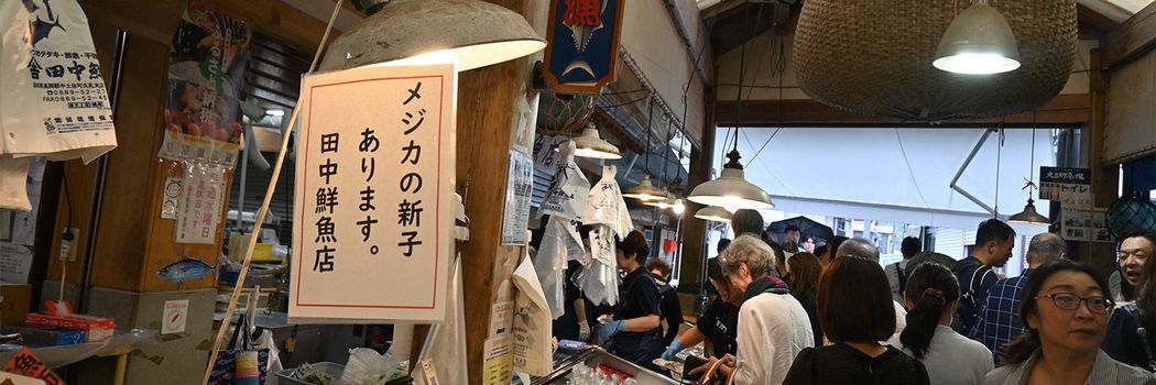 ｢1匹5円｣の不人気サカナ→観光客が押し寄せる｢幻の刺身｣に…高知の一部でしか食べられない｢激レア魚｣の正体