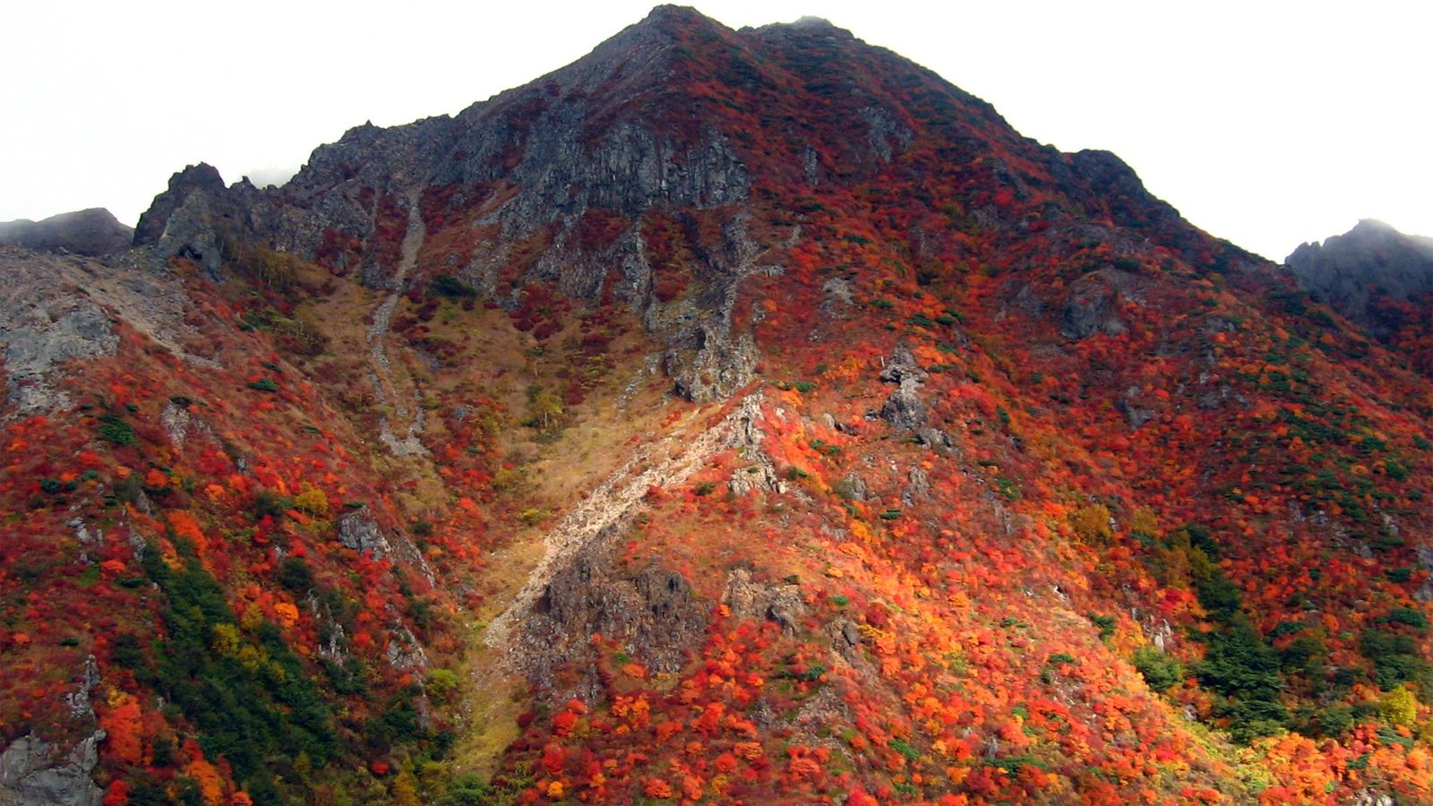 なぜ毎年のように死者がでるのか…絶好の登山日和でも油断できない｢秋の登山｣の本当の怖さ 立山で起きた｢中高年大量遭難事故｣から学ぶ教訓