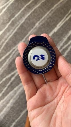 これがメダリオン