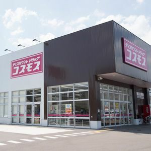 規格外 コスモス薬品 がとにかく安い理由 特売や割引セールは一切しない President Online プレジデントオンライン