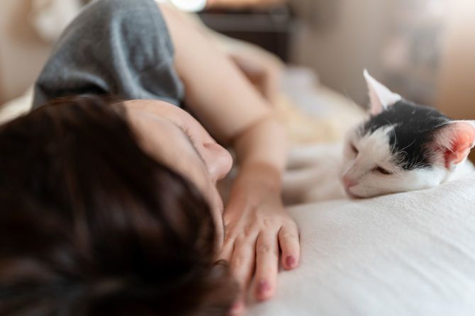 ベッドで猫とリラックスする女性