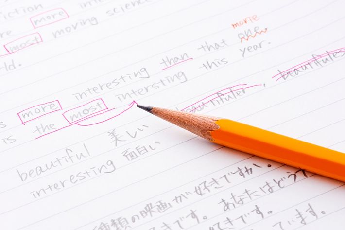 ※写真はイメージです