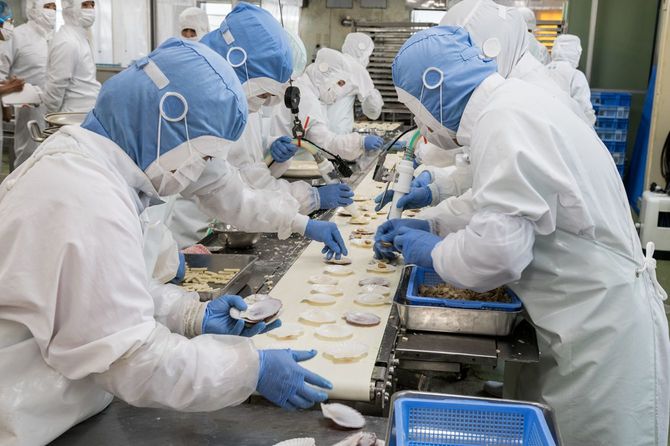 取材当日に製造が行われていた殻付きホタテグラタンのライン