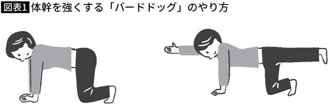 【図表】体幹を強くする「バードドッグ」のやり方