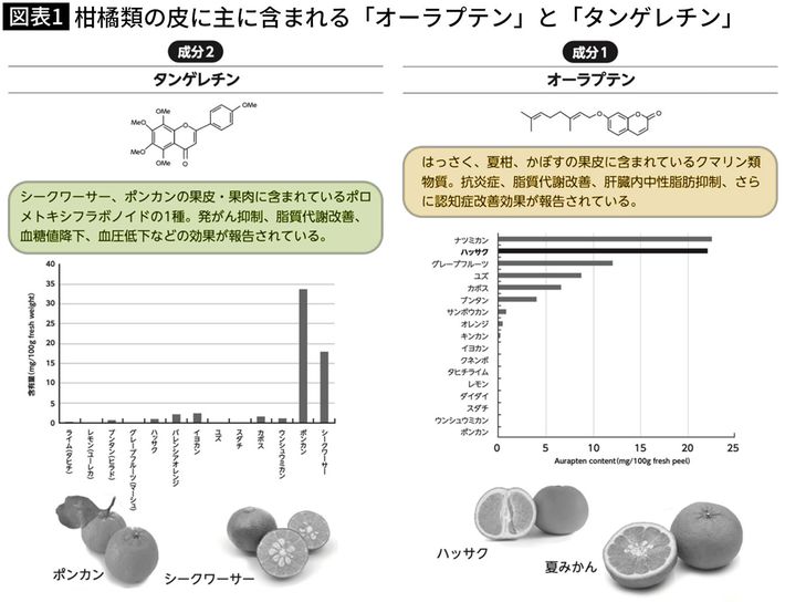 出典＝『<a href="https://www.amazon.co.jp/exec/obidos/ASIN/4833426099/presidentjp-22" target="_blank">血管細胞を強くすれば熱中症は予防できる 熱中症やヒートショックに強い身体に変える3つの成分</a>』（プレジデント社）