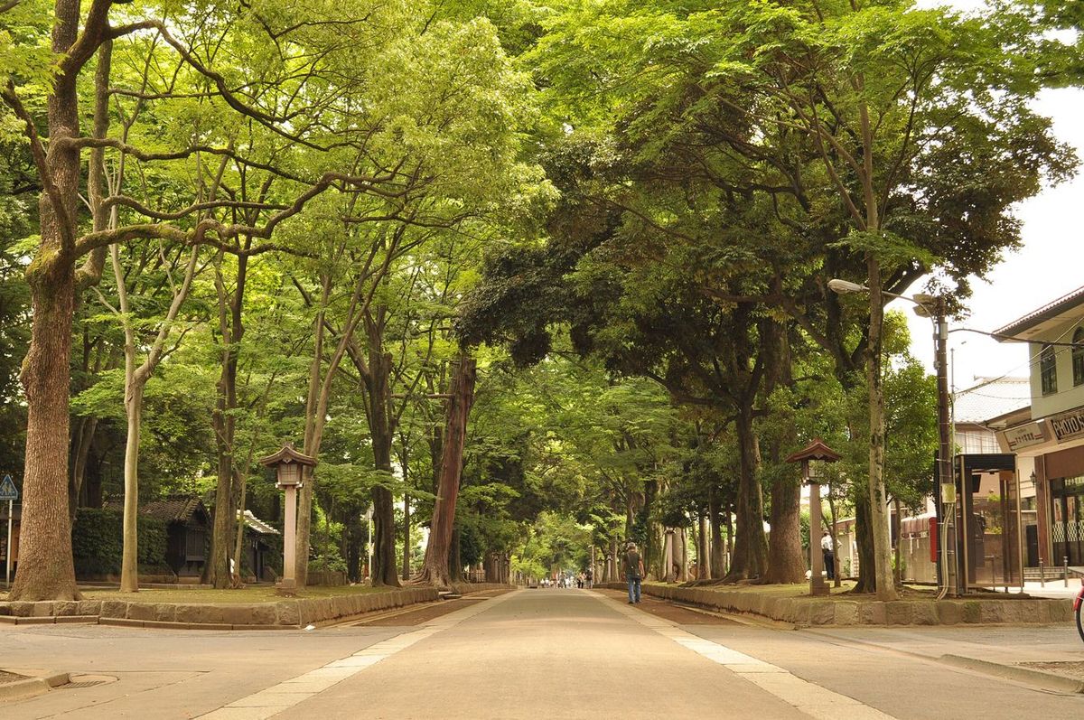 氷川神社の表参道