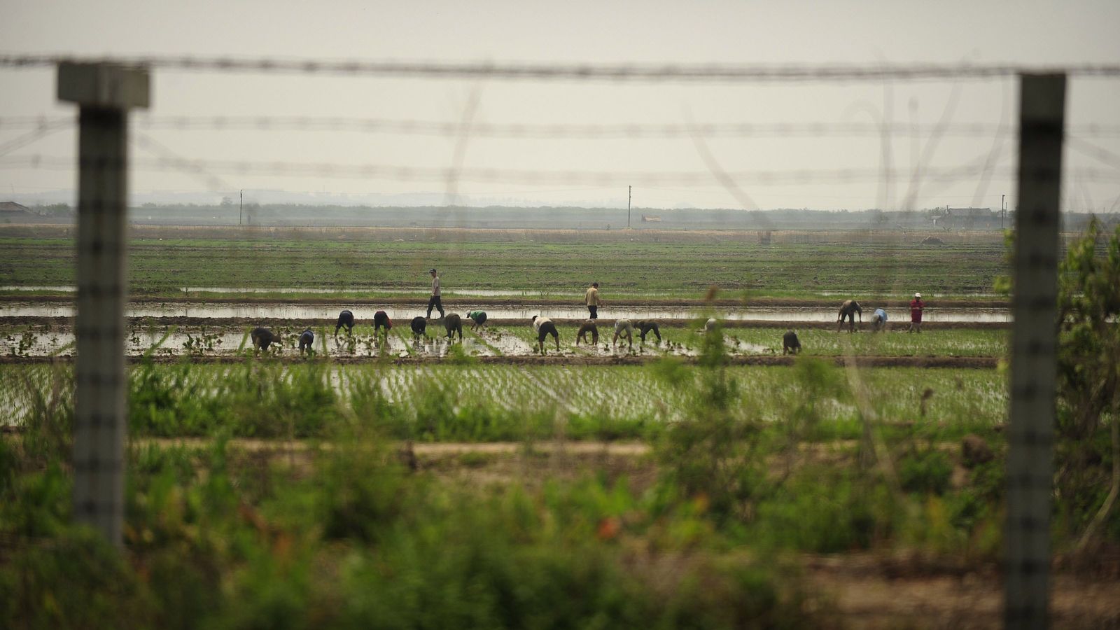 北朝鮮を覗き込む｢人間サファリツアー｣の残酷 鉄条網越しに缶詰を投げると…